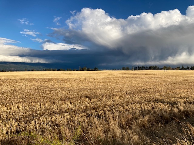 wheat field, cloud covered mountains and ominous clouds